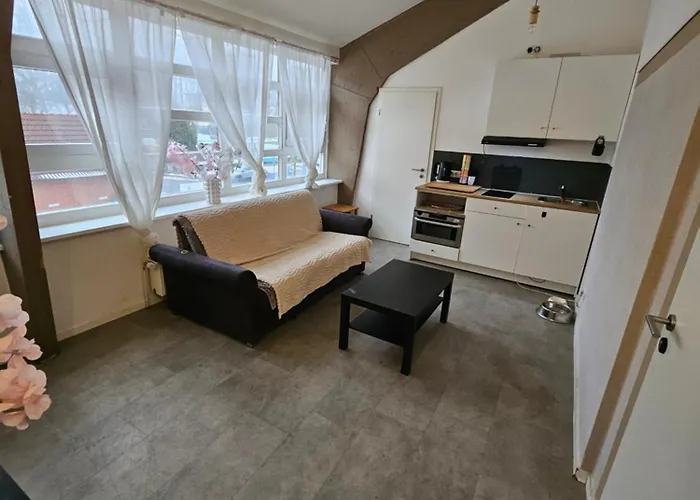 Kurpark Eule Appartement